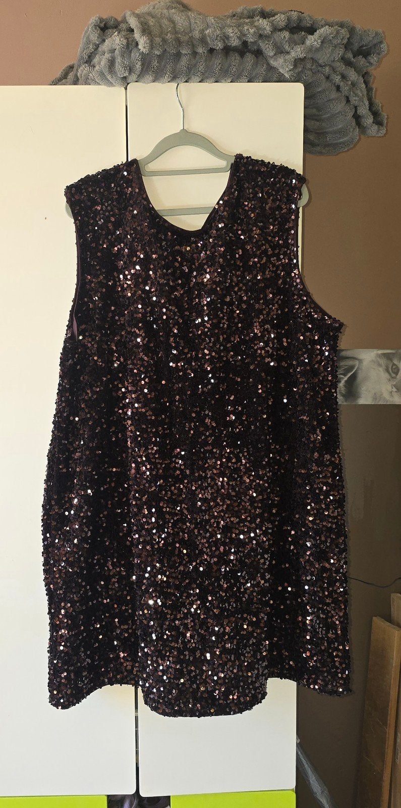 Nieuwe zwangerschap pailletten jurk maat xl, Kleding | Dames, Positiekleding, Ophalen, H&M, Bruin, Jurk