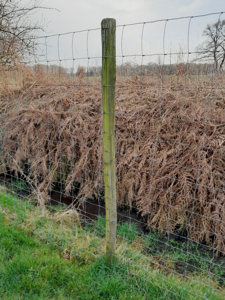 Gaas/afrastering 2m hoog en palen, Tuin en Terras, Ophalen, Gebruikt, 250 cm of meer, Palen