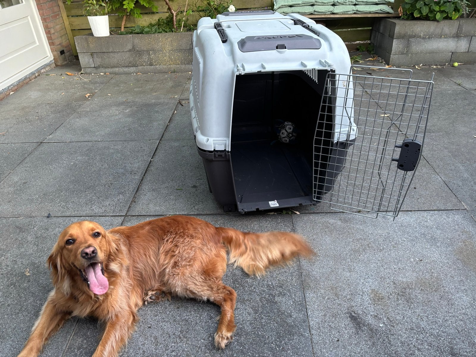 Transportbox Trixie Skudo 7 XL voor hond en kat, Ophalen