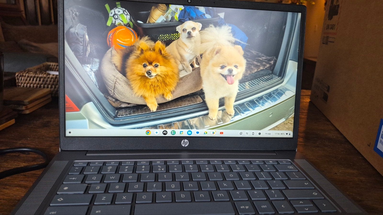 HP Chromebook Plus met Intel Core i3 en Thule hoes, Ophalen, 2 tot 3 Ghz, Qwerty, 8 GB