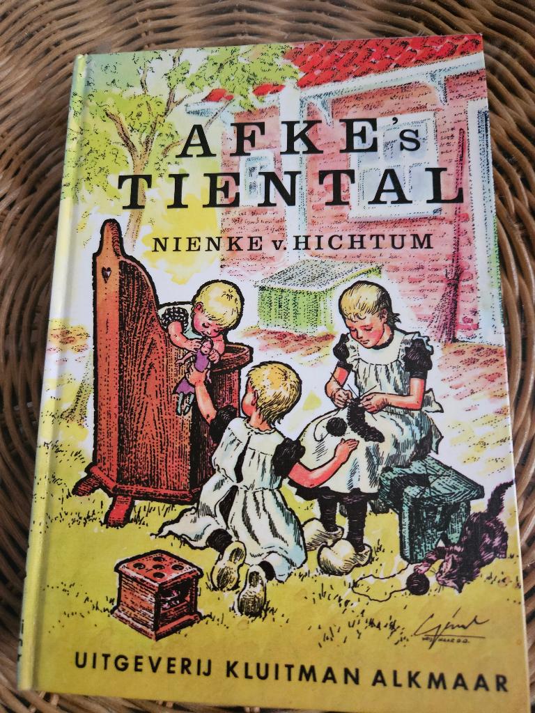 Afke's Tiental - Nienke van Hichtum  DE KLASSIEKER!, Ophalen of Verzenden, Gelezen