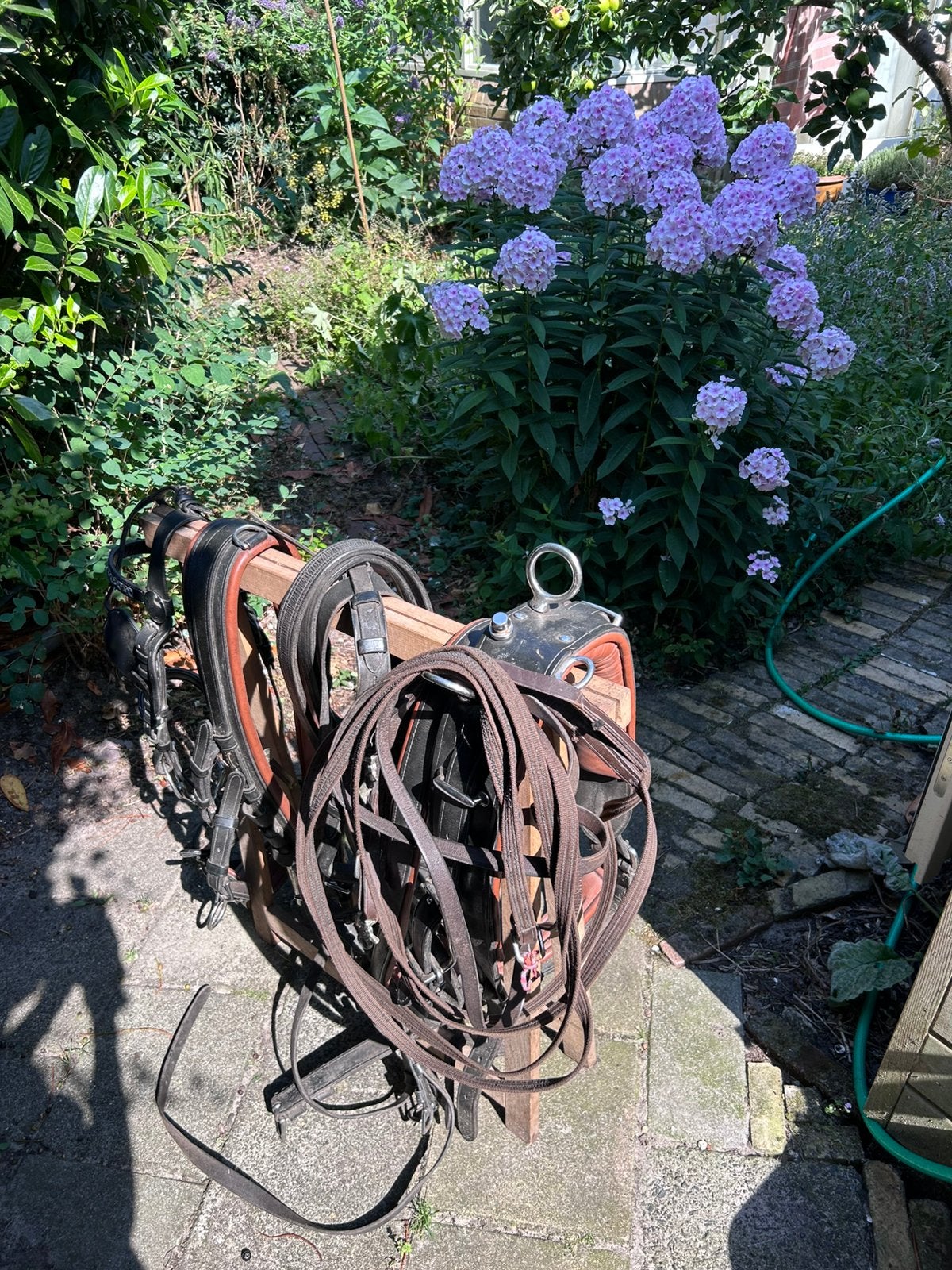 Paarden mentuig, Ophalen, Gebruikt, Mentuig, Full
