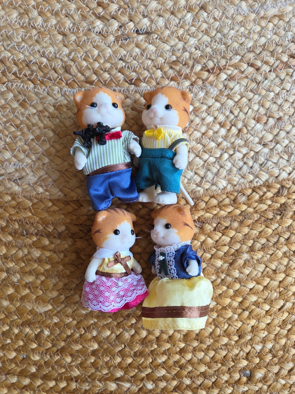 Sylvanian Families Kattenfamilie - 4 figuren, Ophalen, Gebruikt, Jongen of Meisje