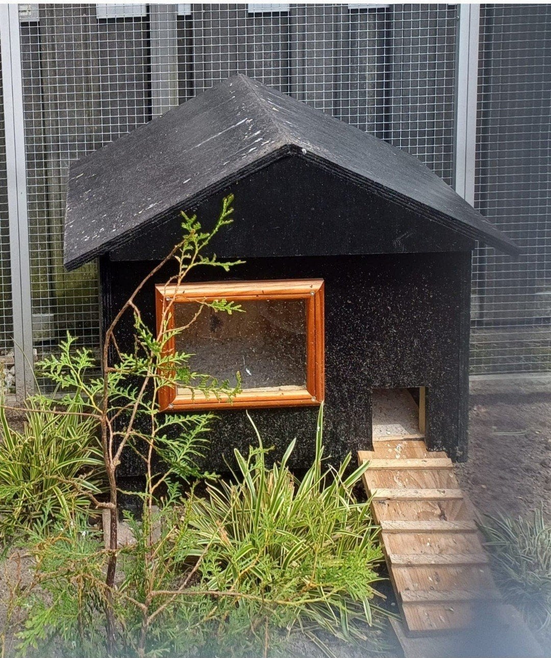 Nieuw nachthok dierenverblijf kwartels Cavia's enz, Ophalen of Verzenden, Nieuw
