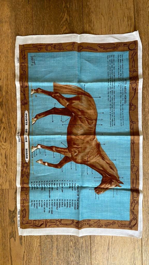 Mooi linnen kleedje over het paard - in English, Ophalen of Verzenden