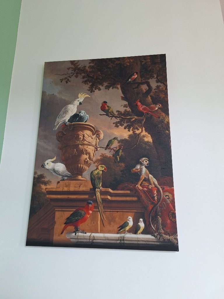 Canvas schilderij "De Menagerie" (papegaaien & aapje), Antiek en Kunst, Ophalen