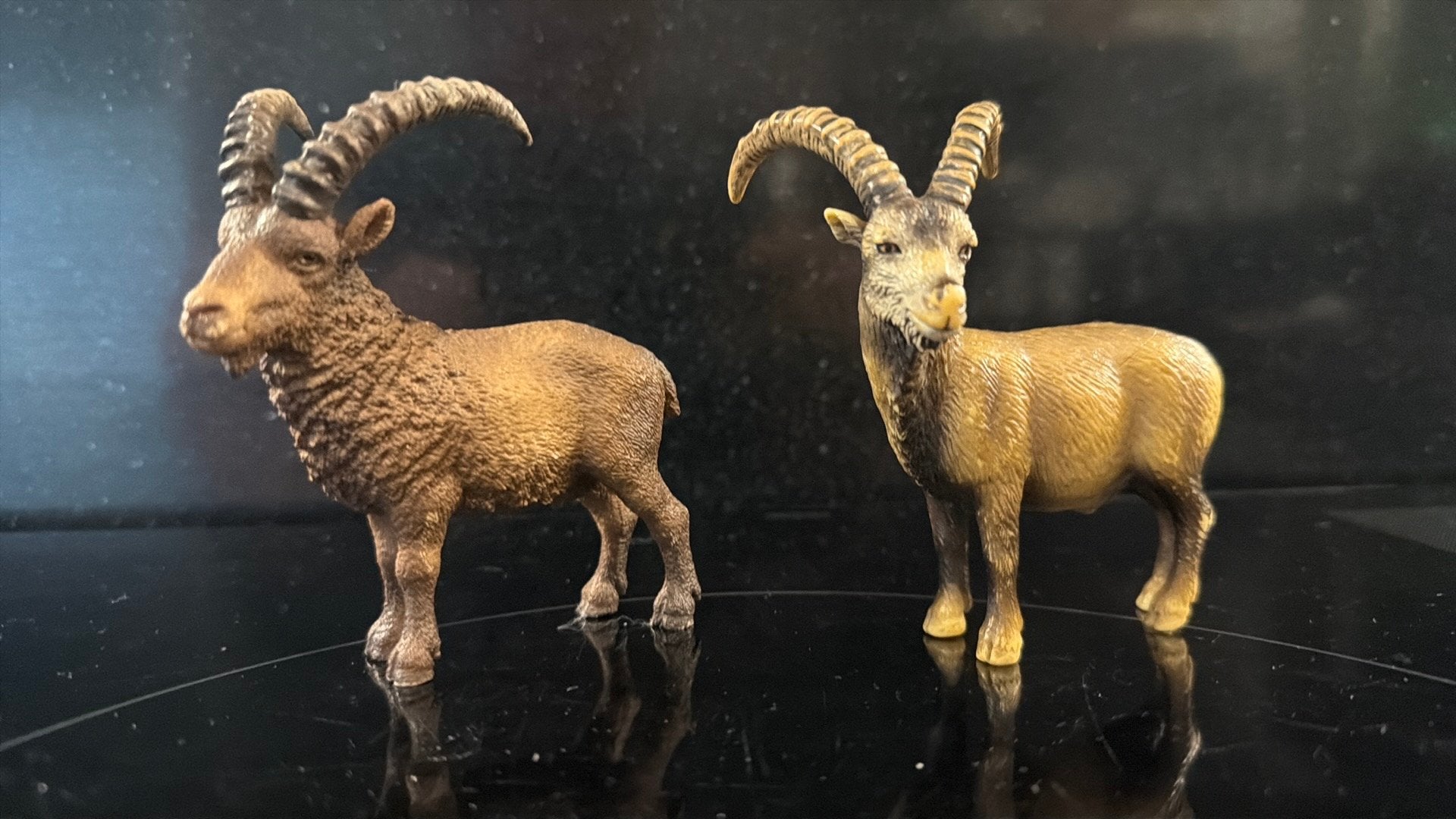Schleich Wildlife: Steenbokken, Ophalen of Verzenden, Zo goed als nieuw, Paard, Beeldje of Figuurtje