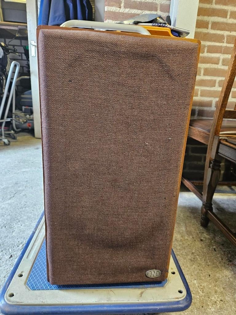 Boxen van BNS twee stuks, Audio, Tv en Foto, Luidsprekers, Gebruikt, 60 tot 120 watt, Front, Rear of Stereo speakers, Ophalen