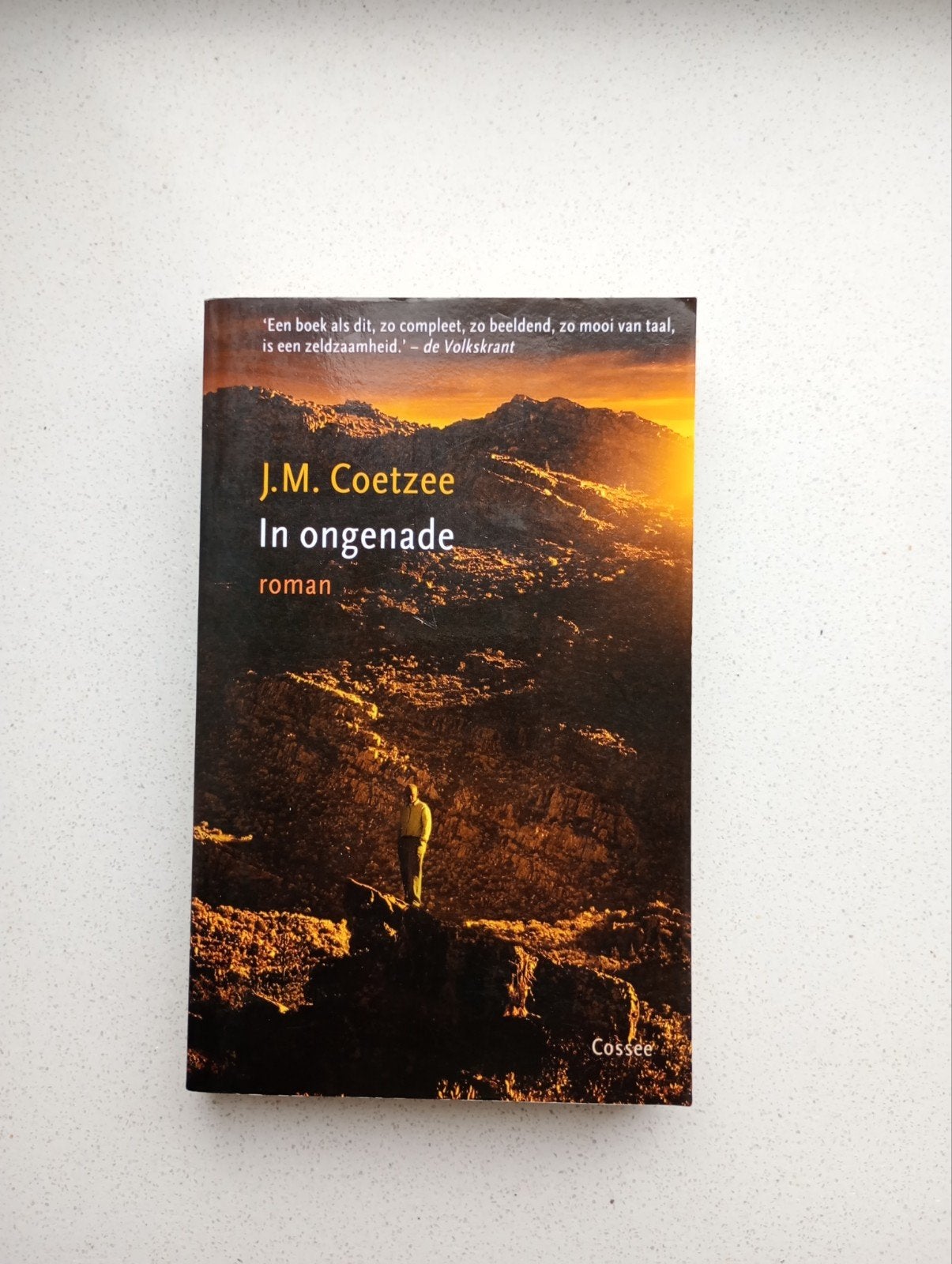 In Ongenade - J.M. Coetzee, Boeken, Ophalen of Verzenden, Gelezen
