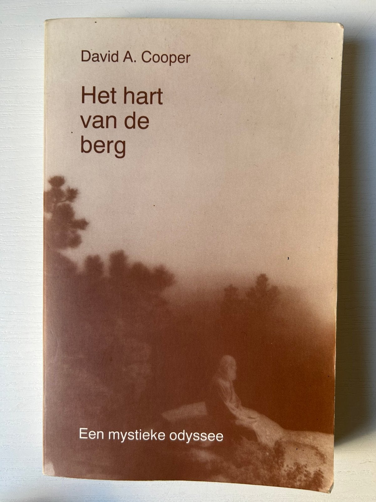 D.A. Cooper - Het hart van de berg, Gelezen, Achtergrond en Informatie, Spiritualiteit algemeen, Ophalen of Verzenden
