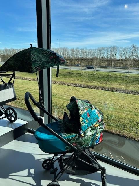 Cybex Mios We The Best 2-in-1, Ophalen, Zo goed als nieuw