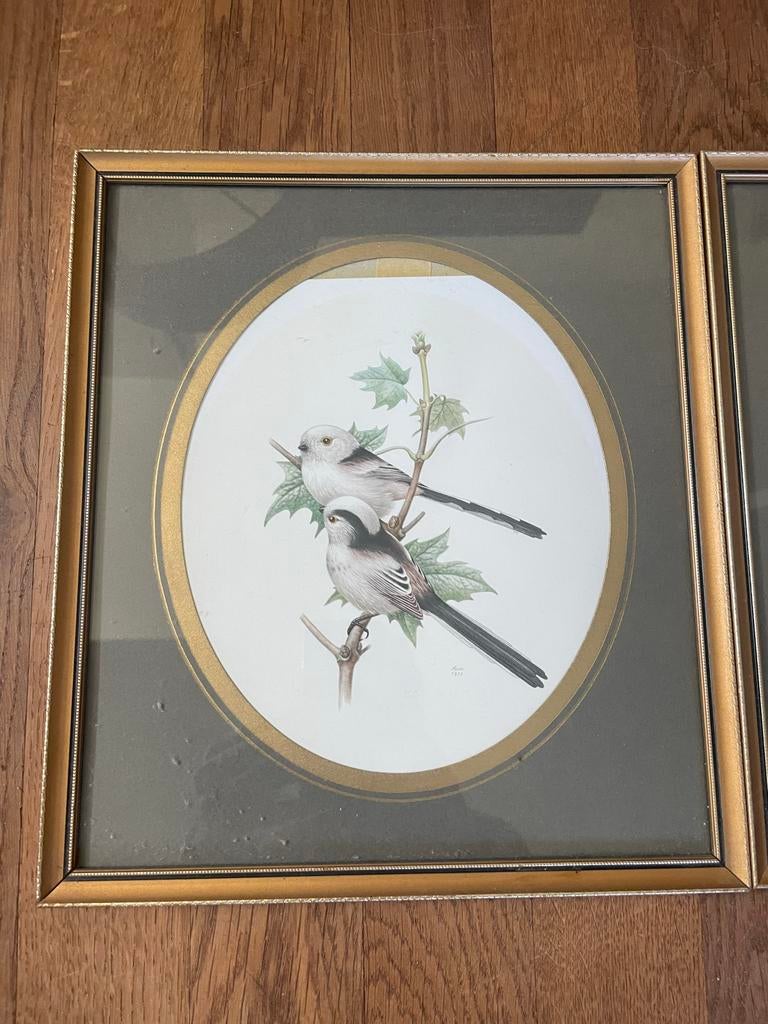 Set van 3 ingelijste vogel schilderijen: Vink, Tapuit, Staar, Ophalen of Verzenden