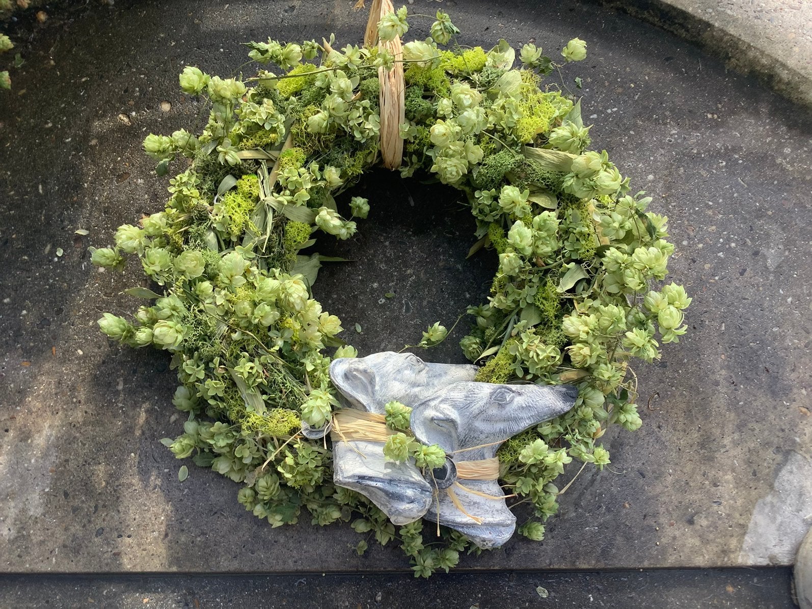 Wilde krans hop hortensia ijslandsmos lathrus basis, Ophalen of Verzenden, Nieuw