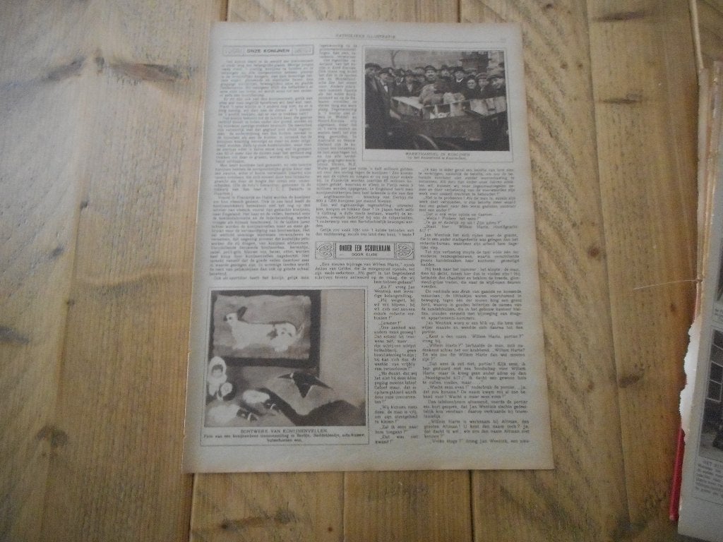 Onze konijnen. 1923., Ophalen of Verzenden, 1920 tot 1940, Nederland, Knipsel(s)