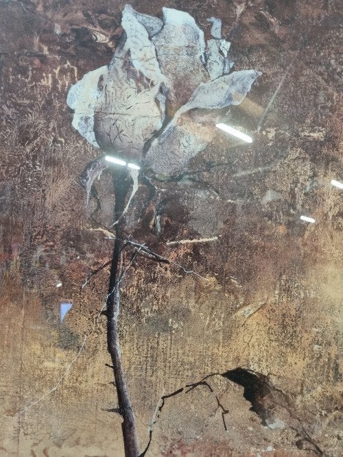 Schilderij roos heleen vriesendorp groot, Ophalen of Verzenden, 'T Olde Gre-j, Info@toldegrej.nl, Endepoelstraat 20f Didam