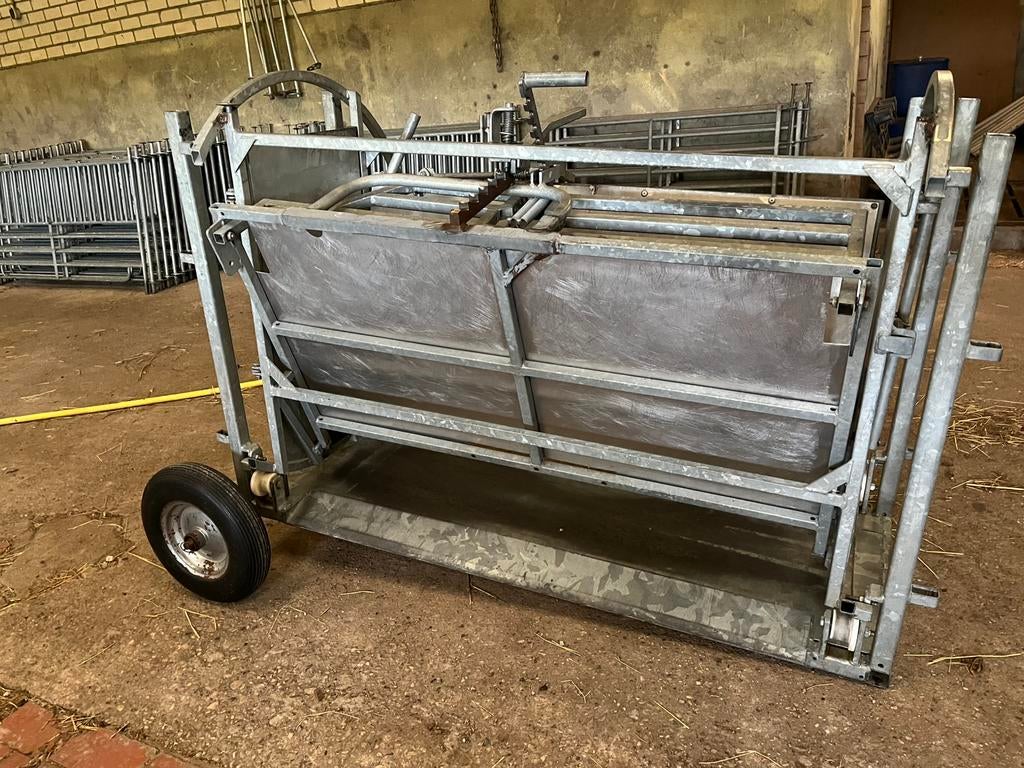 Bekapbox, Dieren en Toebehoren, Vrouwelijk, Schaap