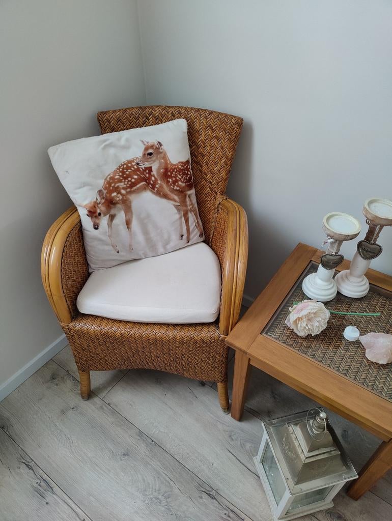 Mooi rotan set., Ophalen of Verzenden, Zo goed als nieuw, Minder dan 75 cm, Minder dan 50 cm