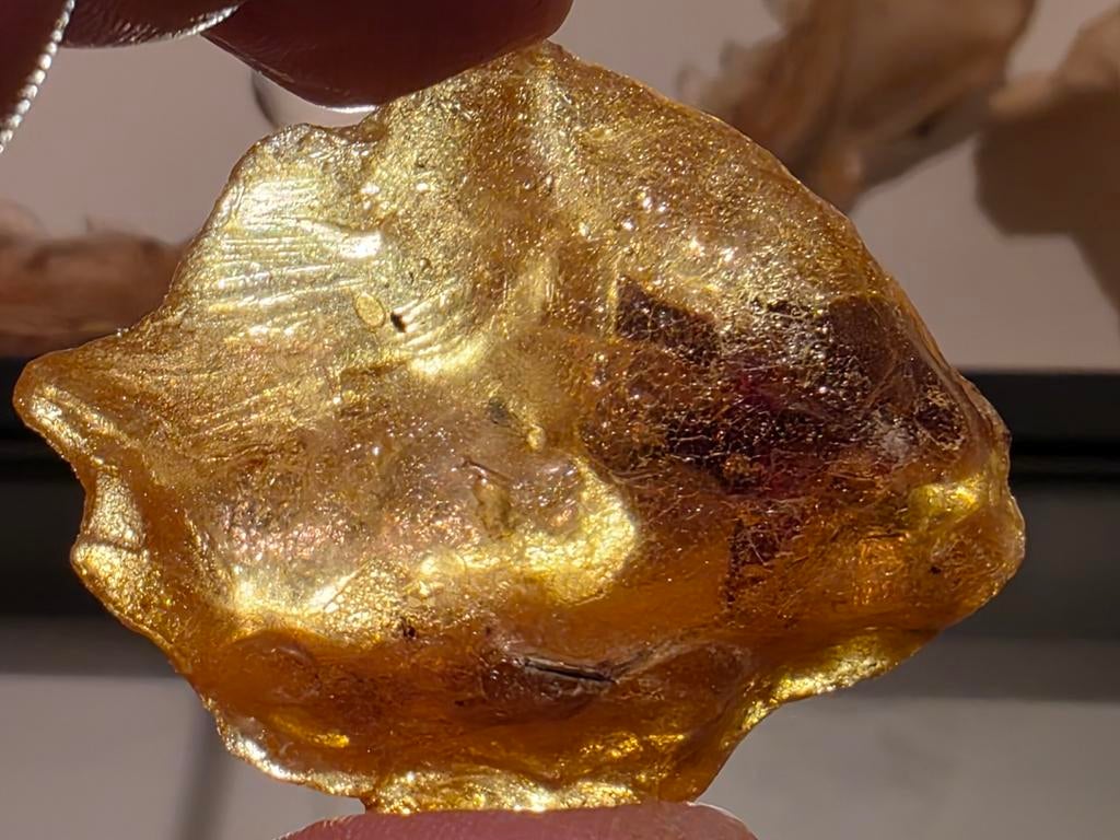 Mooi groot stuk copal amber met insecten uit Madagascar 5 cm, Ophalen of Verzenden, Fossiel