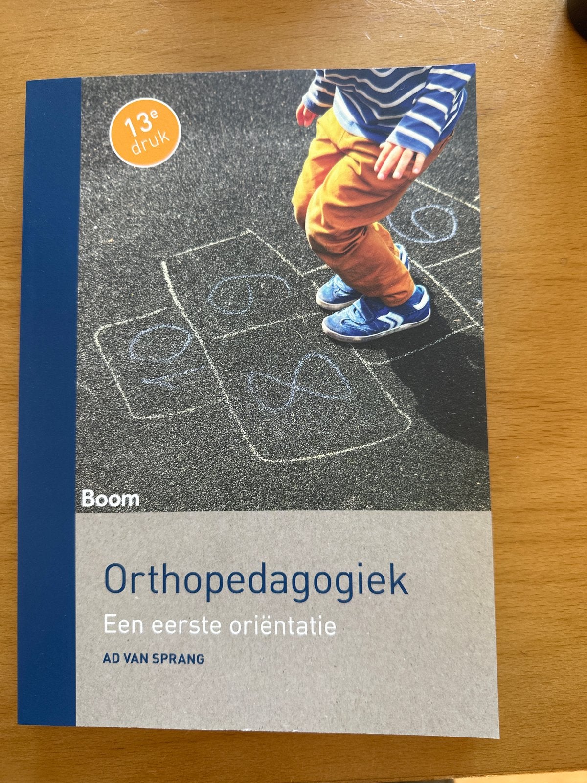 Orthopedagogiek: Een eerste oriëntatie (13e druk), Ophalen of Verzenden, Gamma, Zo goed als nieuw, HBO