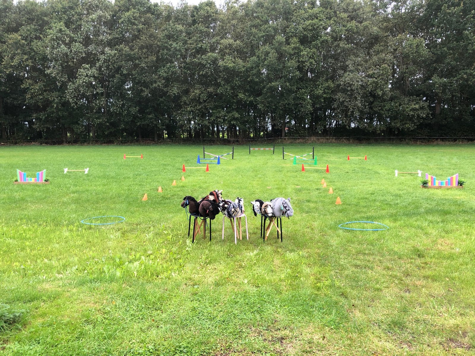 Hobby horses stokpaardjes uitje frieskand hindernissen, Ophalen