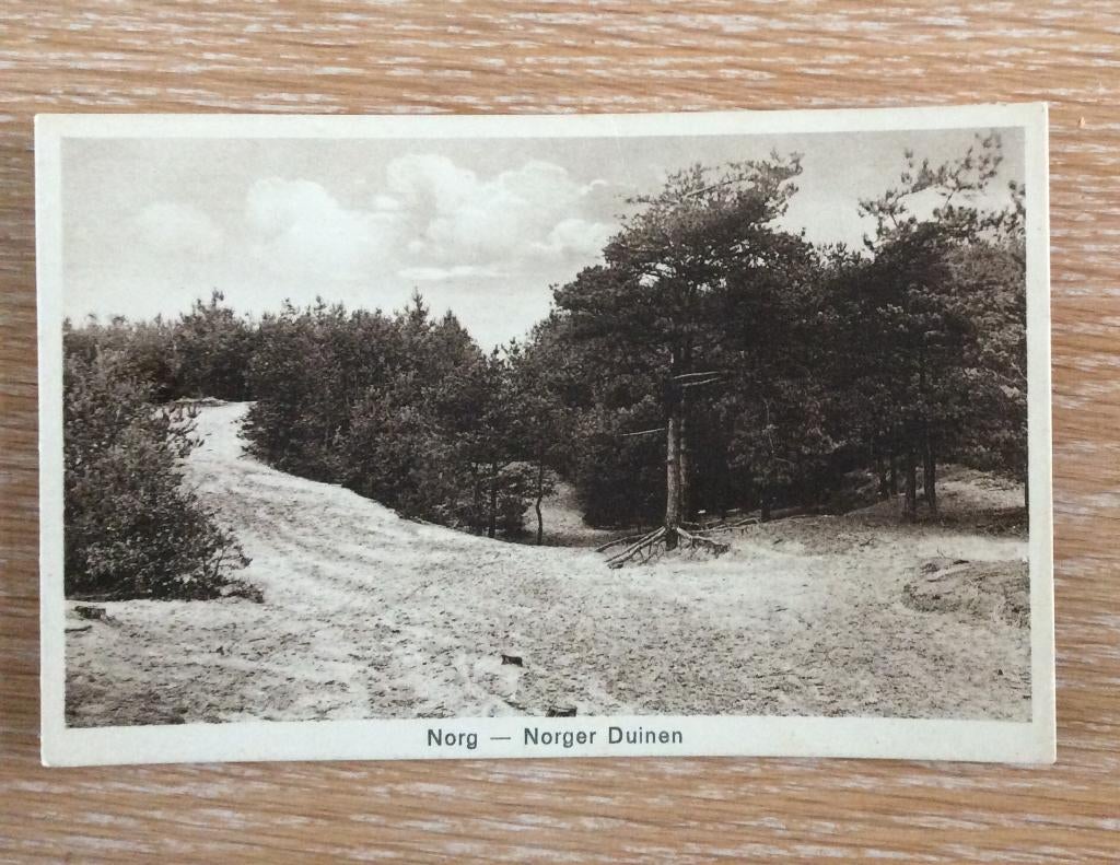 Norg, Norger Duinen, Verzamelen, Ansichtkaarten | Nederland, Ophalen of Verzenden, 1920 tot 1940, Ongelopen, Drenthe