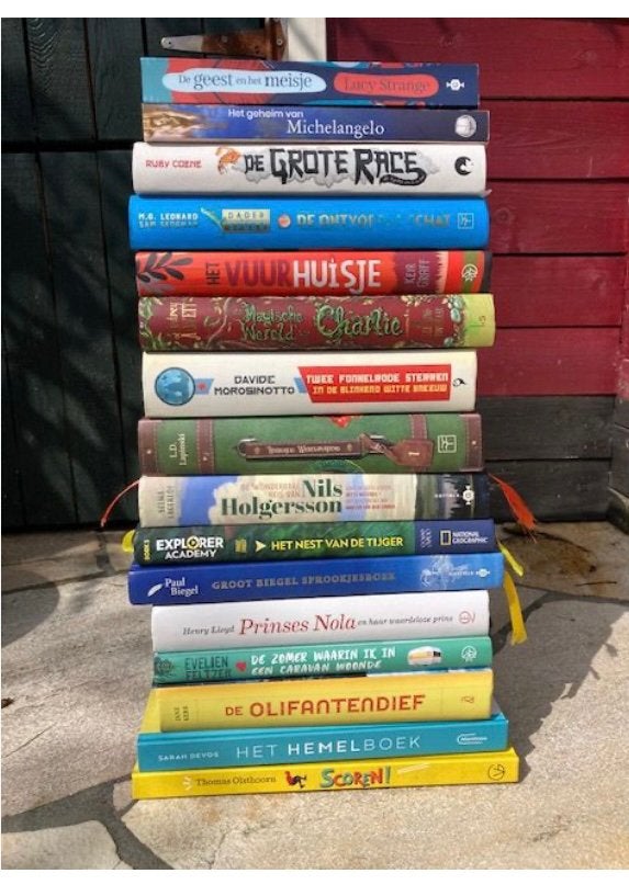 Gezocht: kinderboeken 6-12 jaar, voor de speelgoedbank, Ophalen, Zo goed als nieuw, Kind en Jeugd