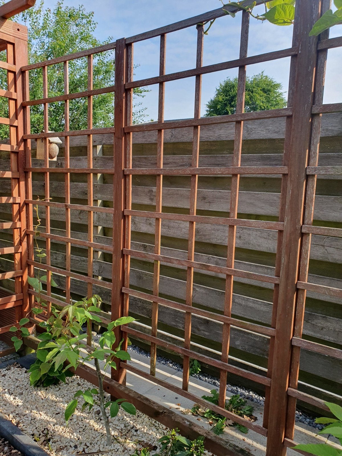8 hardhouten tuinrekken, Ophalen of Verzenden