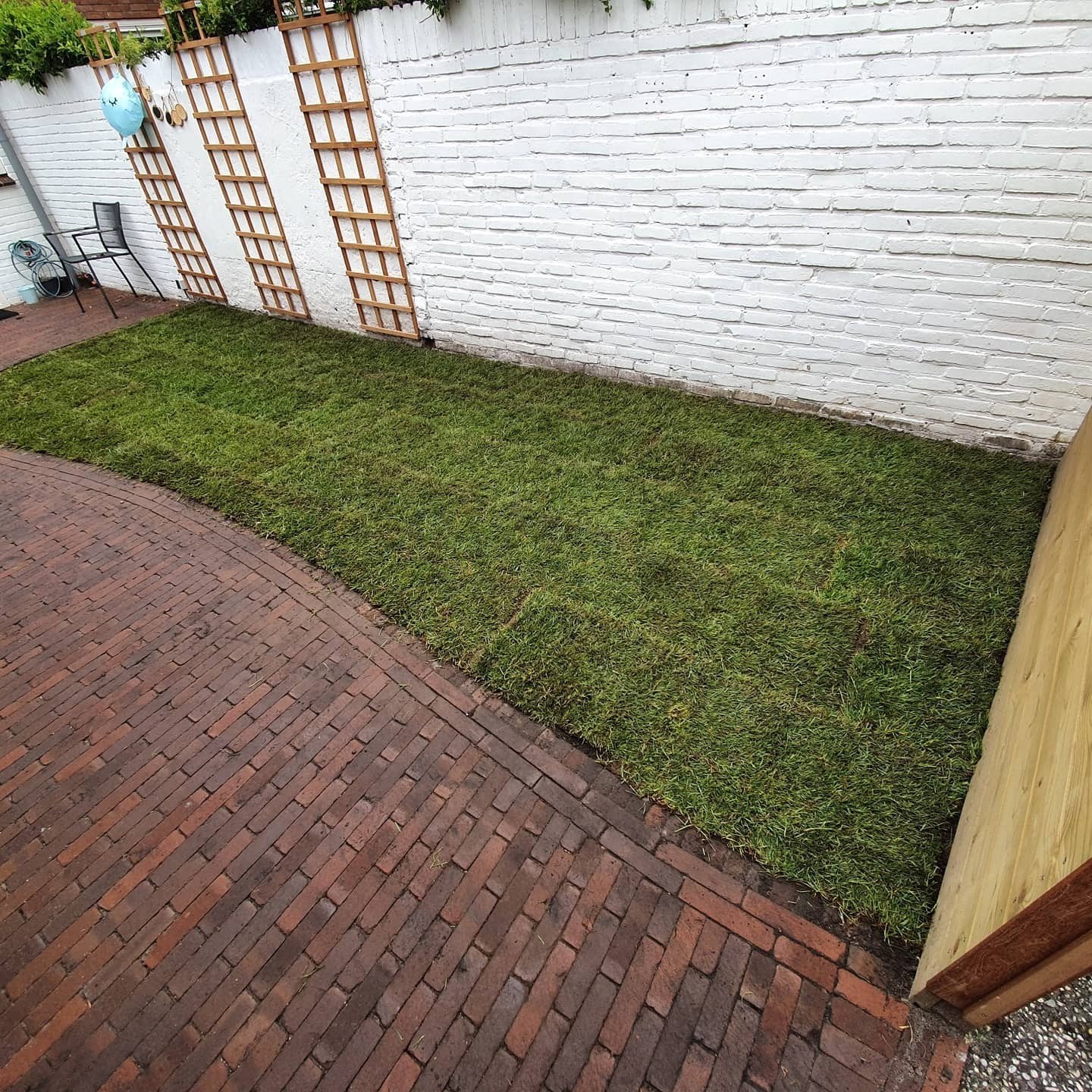 Op zoek naar een prachtig groen gazon?, Natuurlijk Groen B.V., Groeneweg 10, 1234 AB Tuindorp, Info@natuurlijkgroen.nl, Ophalen of Verzenden