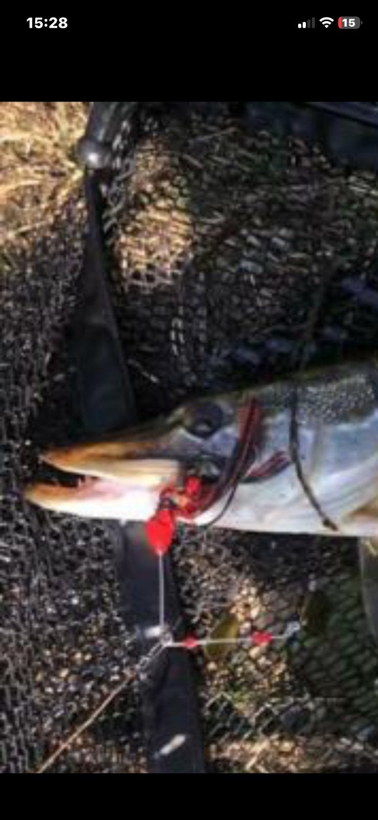 Spinnerbaits blinkers kunstaas super voor grote snoek, Ophalen of Verzenden, Nieuw, Haak