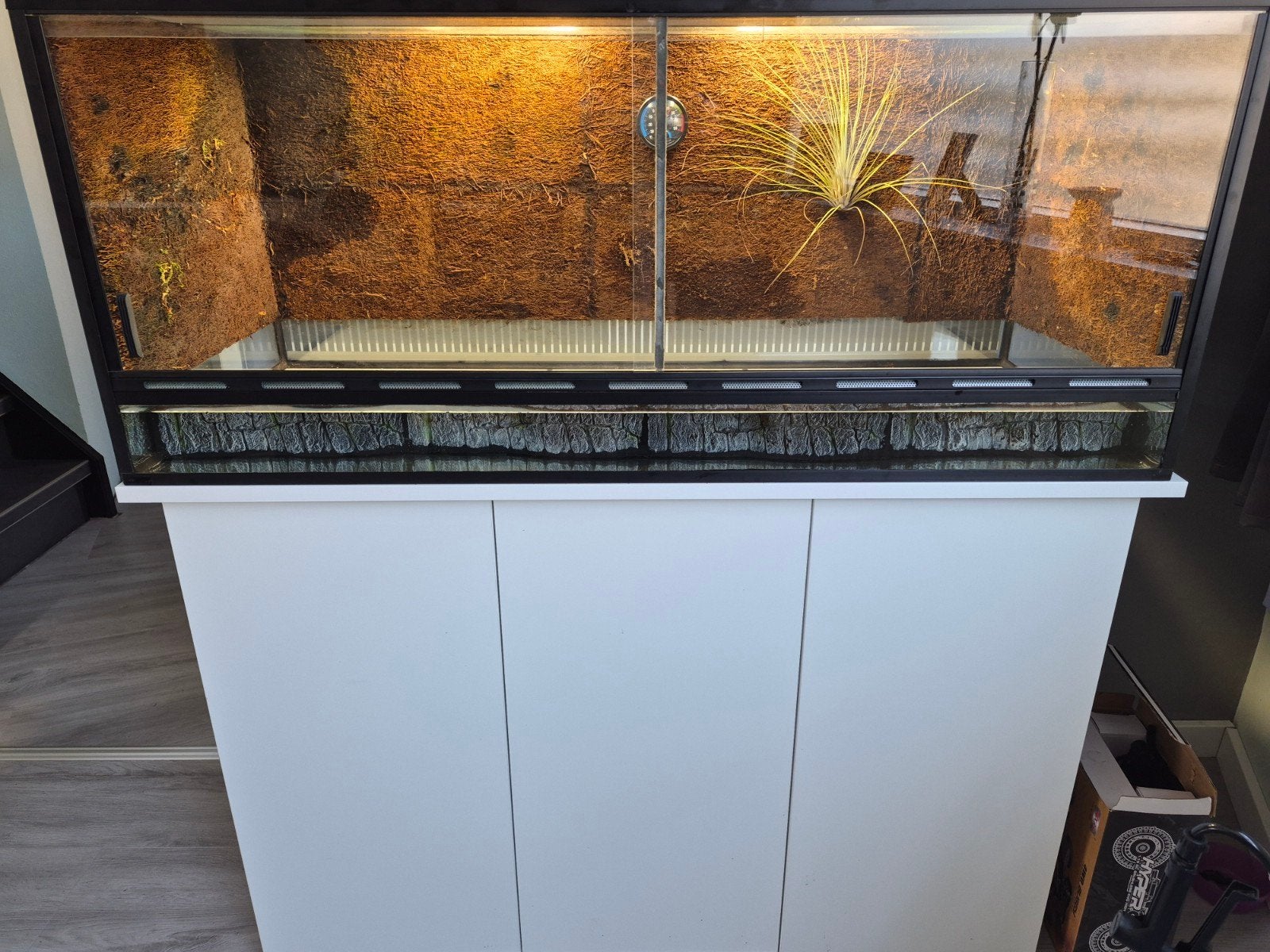 Paludarium L120xB40xH50, Ophalen, Zo goed als nieuw