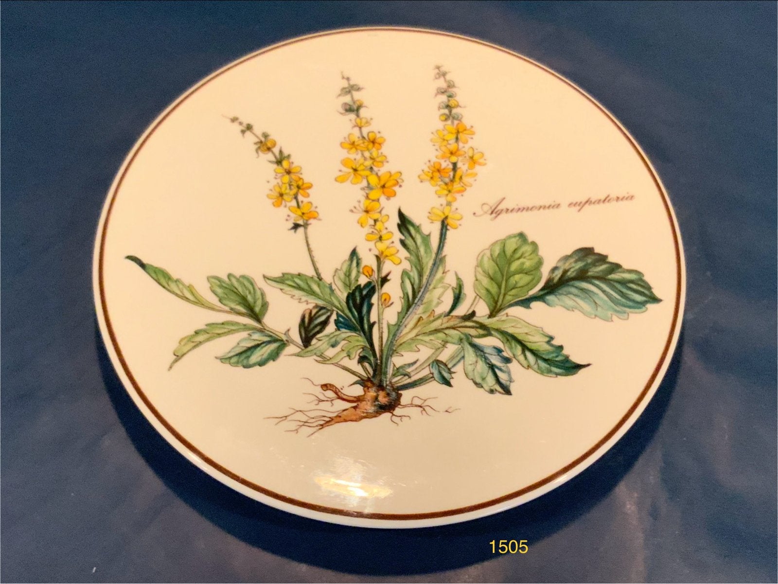 Villeroy & Boch Botanica schotel - Agrimonia Eupatoria, Ophalen of Verzenden