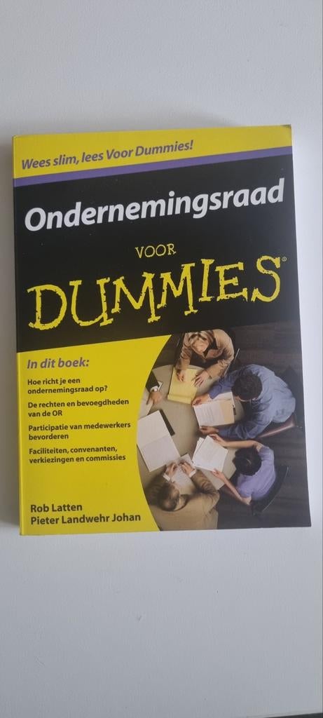 Rob Latten - Ondernemingsraad voor Dummies, Ophalen of Verzenden, Alpha, Zo goed als nieuw, Rob Latten; Pieter Landwehr Johan
