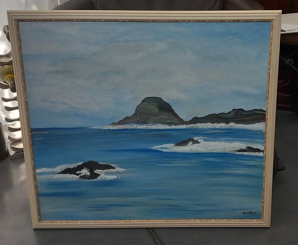 groot schilderij zeezicht met mooie lijst, Ophalen, Gebruikt