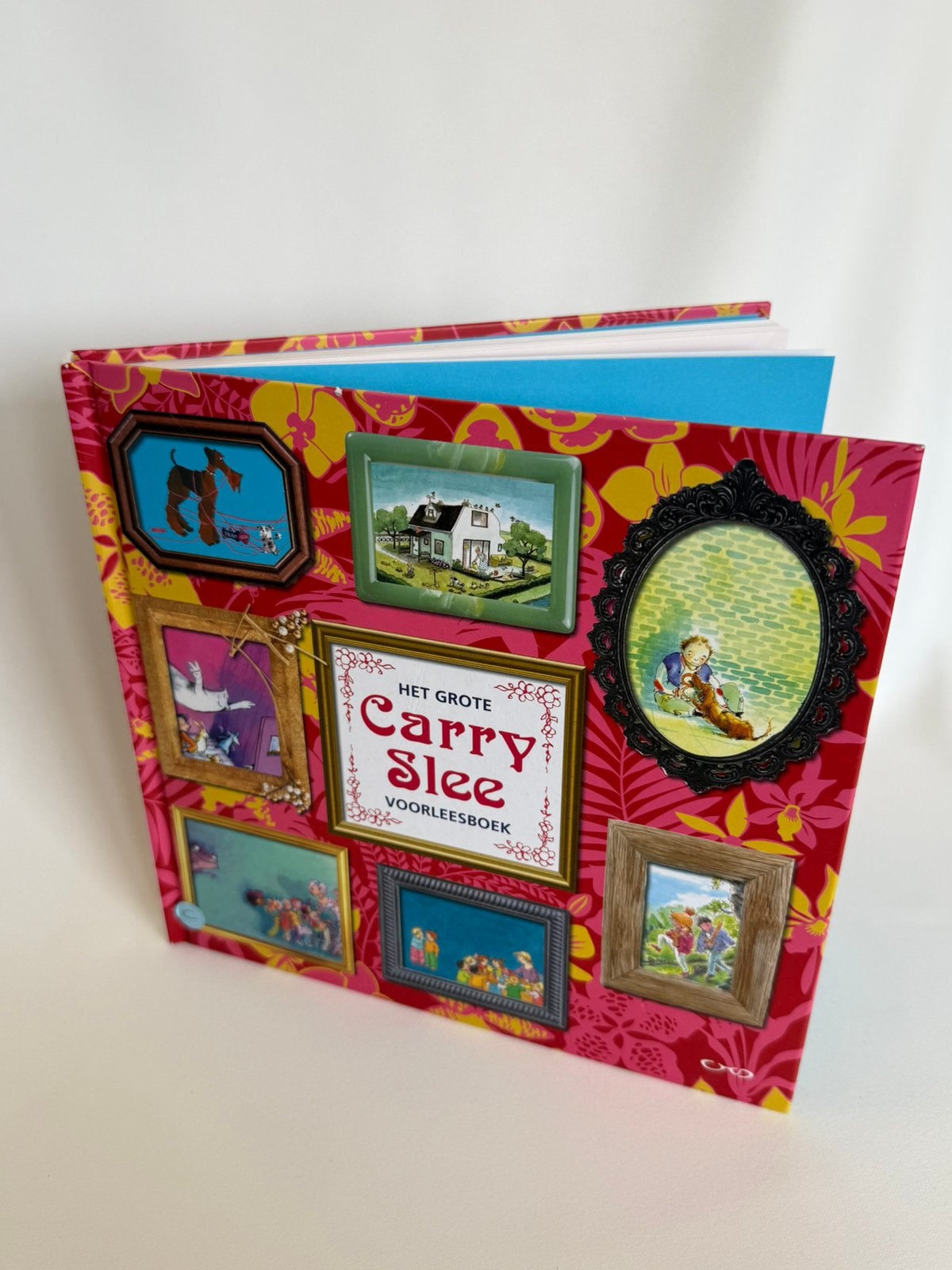 Het grote Carry Slee voorleesboek, Ophalen of Verzenden, Gelezen, Fictie algemeen