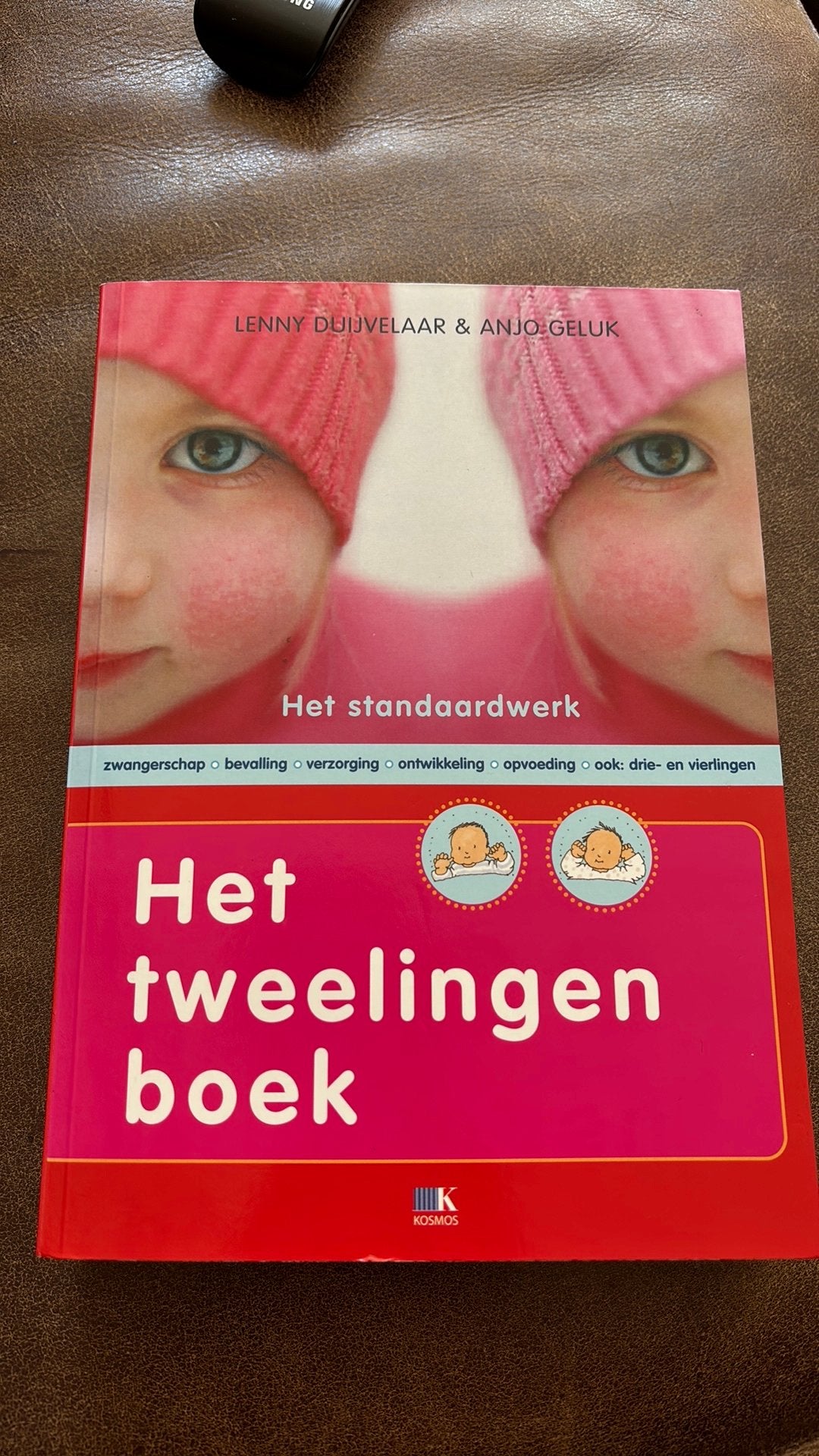 Anjo Geluk - Het tweelingenboek, Anjo Geluk; Lenny Duijvelaar, Zwangerschap en Bevalling, Ophalen of Verzenden, Zo goed als nieuw