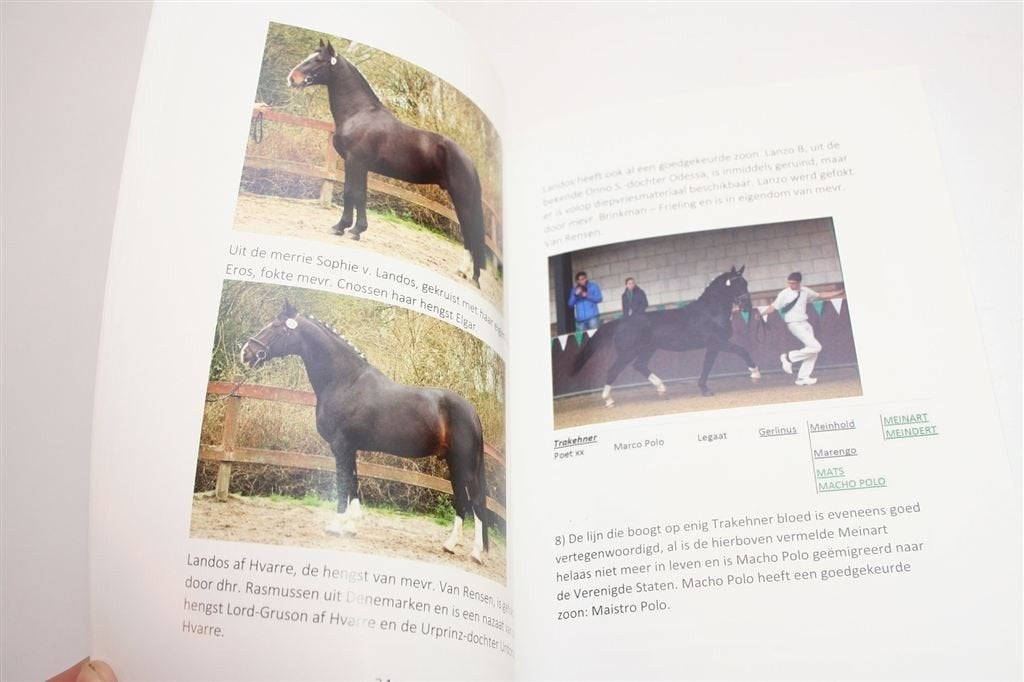 De Groningin — Wereld door de Ogen van een Groninger Paard, Ophalen of Verzenden, Zo goed als nieuw, Paarden of Pony's