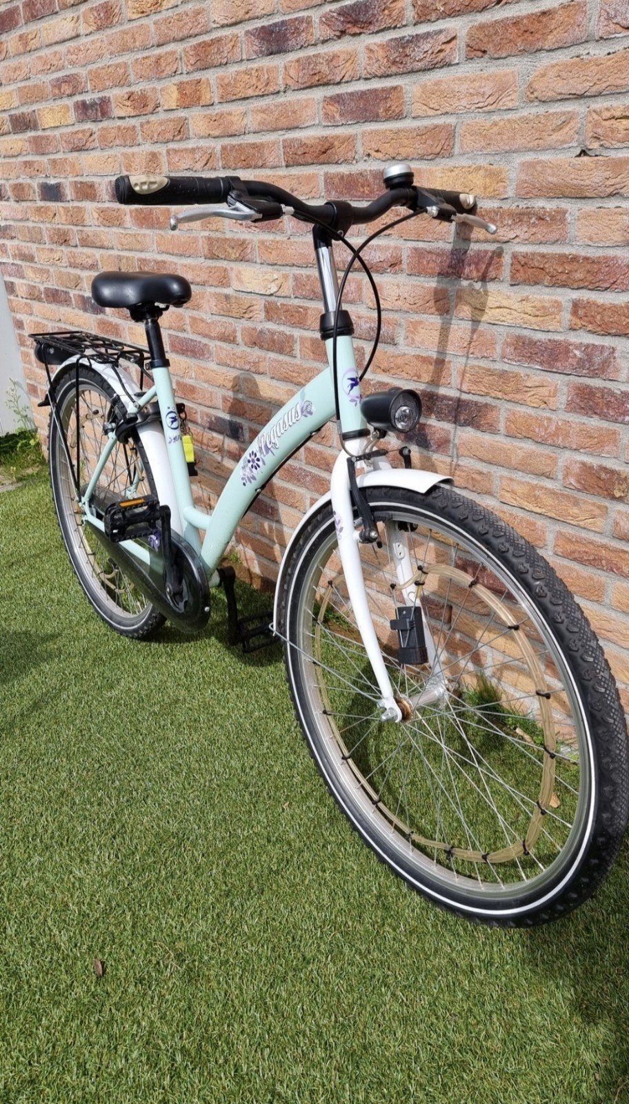 Pegasus Meisǰesfiets, Fietsen en Brommers, Ophalen, Gebruikt, Velgrem, 26 inch of meer