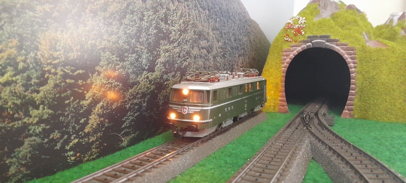 Marklin 3050 Zwitserse Electrische loc met wapen van Geneve, Hobby en Vrije tijd, Wisselstroom, Locomotief, Ophalen of Verzenden