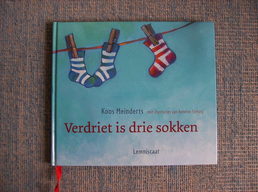 VERDRIET IS DRIE SOKKEN, BOEKJE, KOOS MEINDERTS, Boeken, Ophalen of Verzenden, Zo goed als nieuw, KOOS MEINDERTS