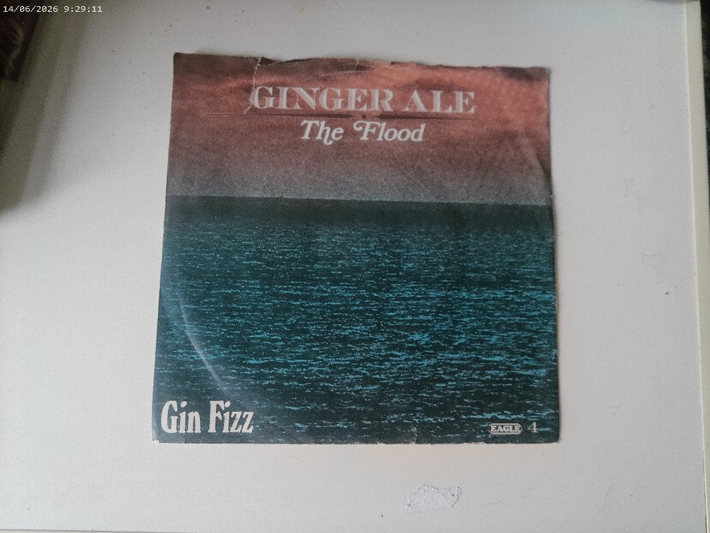 Ginger Ale - The Flood / Gin Fizz, Gebruikt, Fotohoes, 7 inch, Single