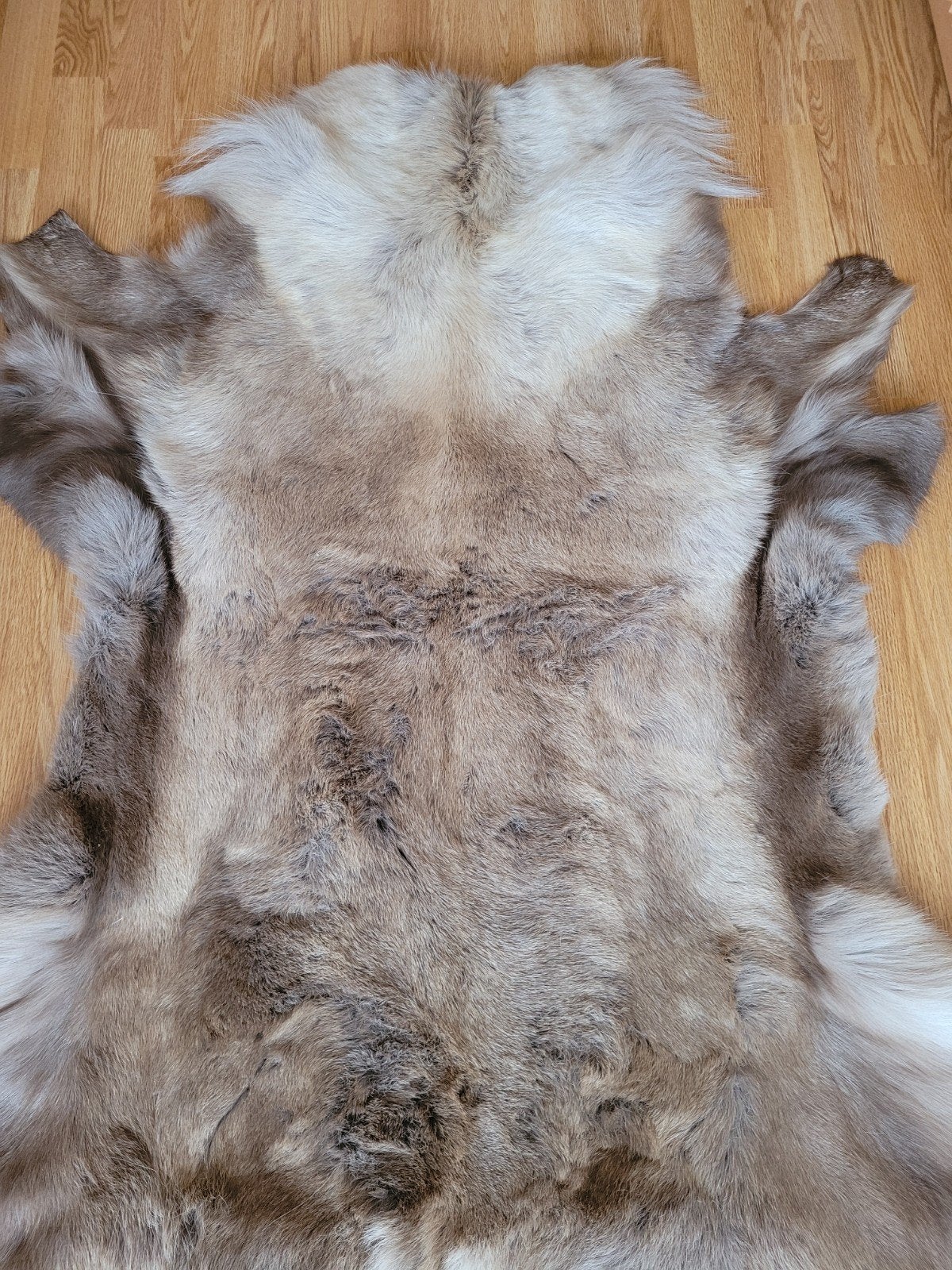 Huiden, 130 cm, Nieuw, Meerkleurig, 110 cm