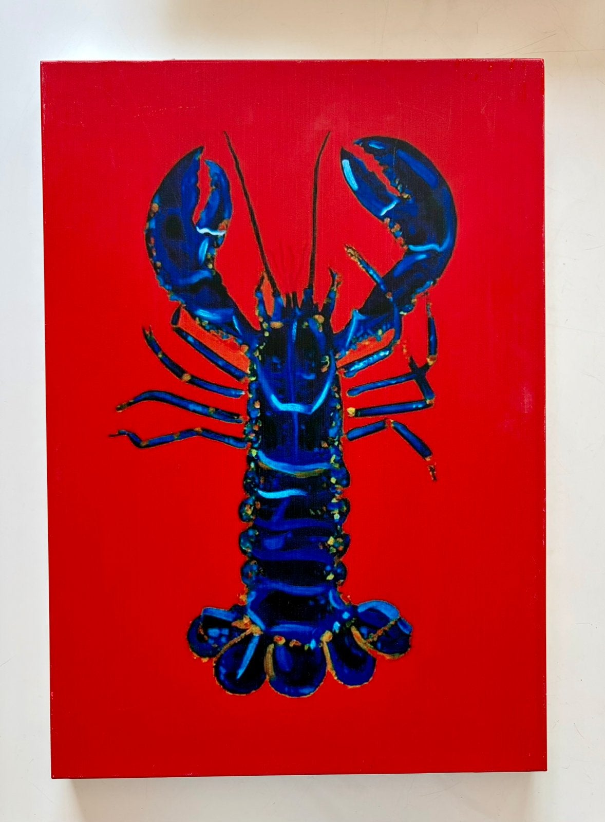 Superleuke Art print ‘Kreeft’, nieuw, Mica, Antiek en Kunst, Ophangklaar, Figuren, Ophalen of Verzenden, Print