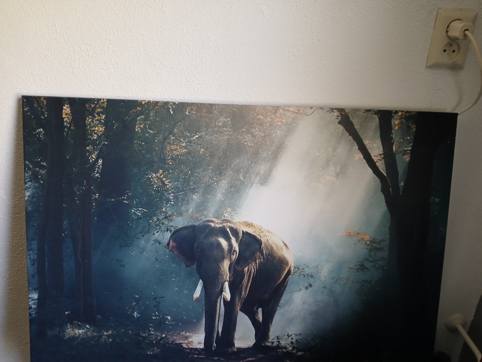 Mooie canvas schilderij 90 bij 60 cm, Ophalen of Verzenden