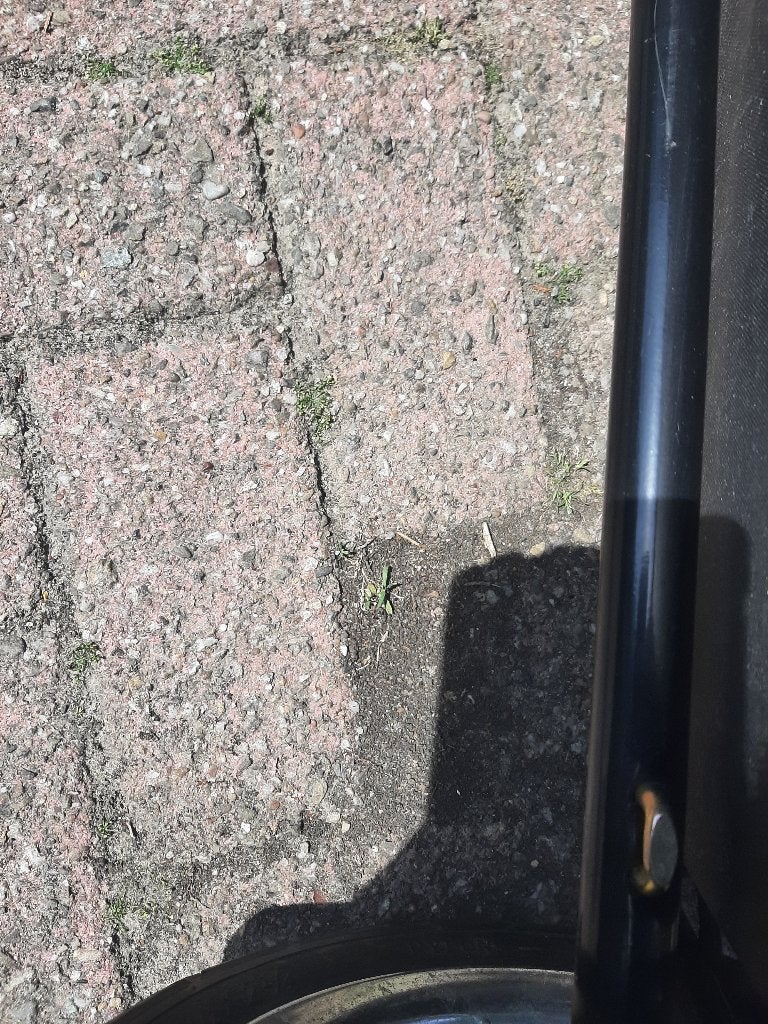 Hondenkar, Dieren en Toebehoren, Ophalen, Gebruikt