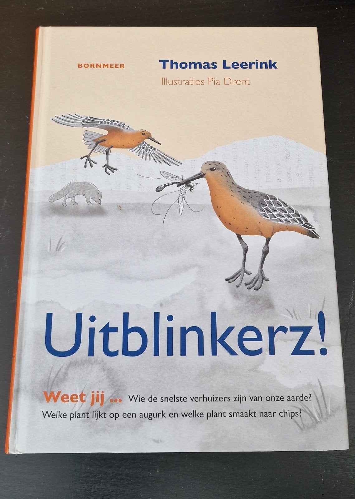 Thomas Leerink - Uitblinkerz!, Fictie algemeen, Thomas Leerink, Ophalen of Verzenden, Zo goed als nieuw