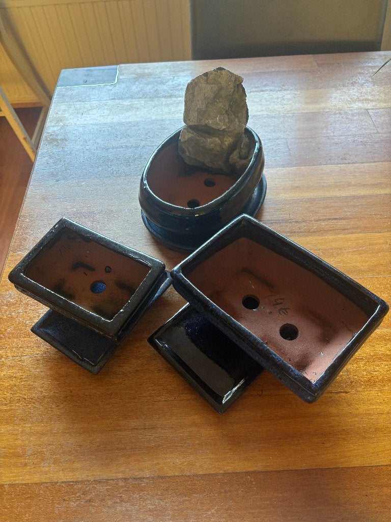 Bonsai potten blauw + Bonsai handboek, Gebruikt, Binnen, Ophalen of Verzenden, Overige vormen