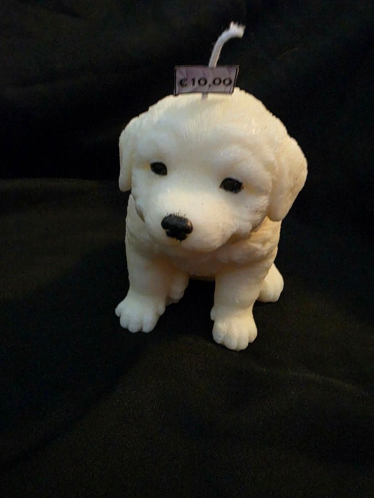 Leuke honden kaars - berner senner pup, Meerkleurig, Overige merken, Ophalen of Verzenden, 17 cm