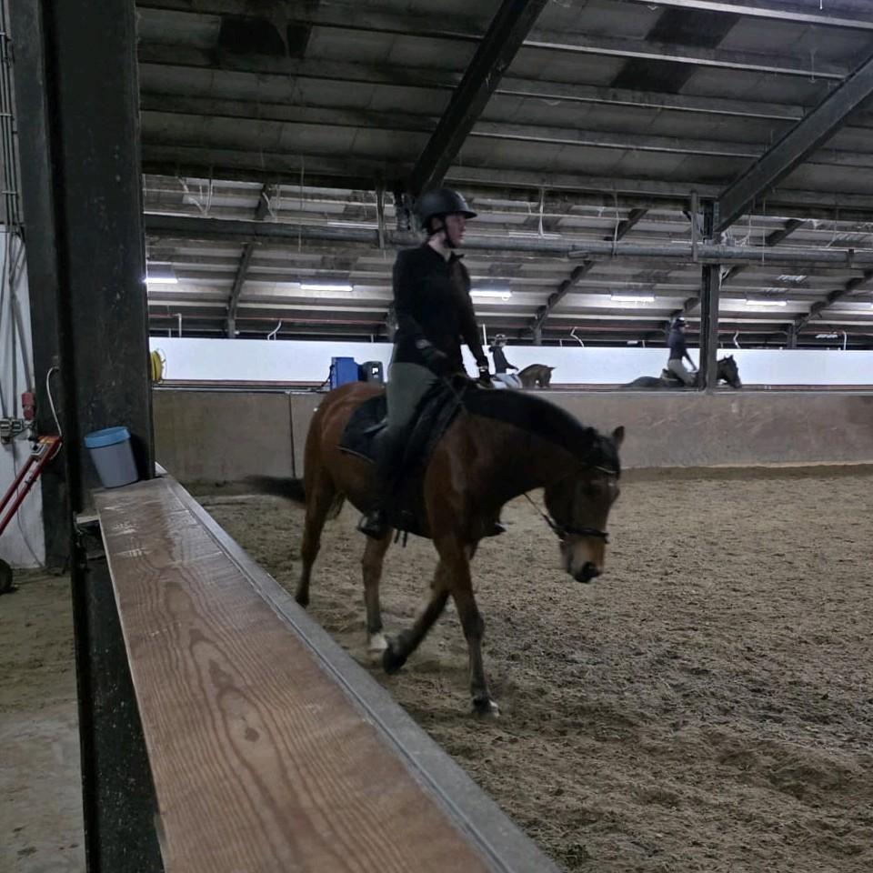 Makkelijk paard gezocht voor moeder dochter duo., Ophalen