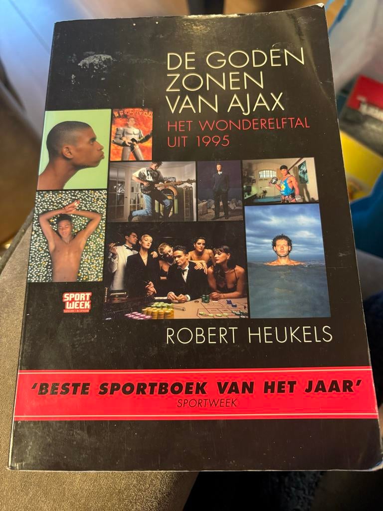 De Godenzonen van Ajax: Het Wonderelftal uit 1995, Ophalen of Verzenden, Gelezen, Balsport