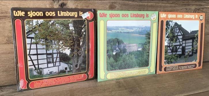 LP Wie sjoon os Limburg is nr 1-9-10 Bieden, Cd's en Dvd's, Ophalen of Verzenden, Zo goed als nieuw, 12 inch, Streekmuziek